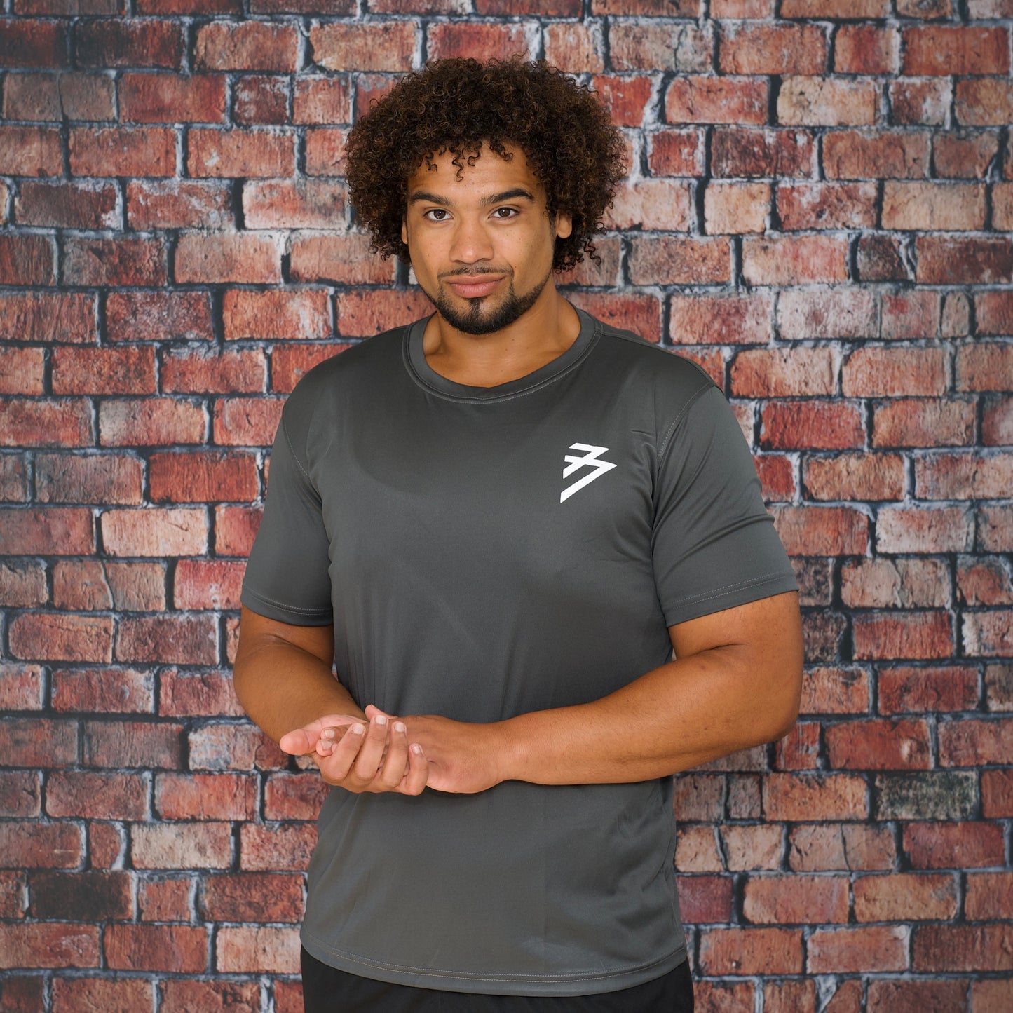 Performance T-Shirt Grey